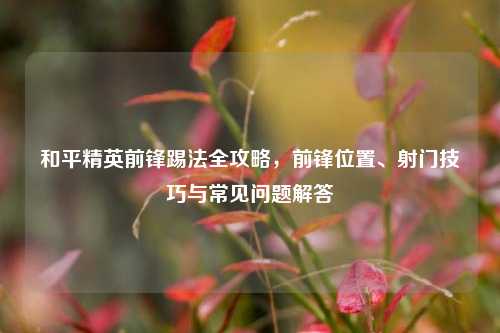 和平精英前锋踢法全攻略,前锋位置、射门技巧与常见问题解答