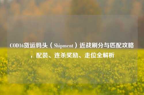 COD16货运码头(Shipment)近战刷分与匹配攻略,配装、连杀奖励、走位全解析