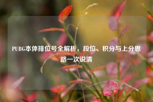 PUBG本体排位号全解析,段位、积分与上分思路一次说清