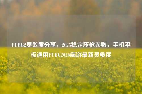 PUBG2灵敏度分享,2025稳定压枪参数,手机平板通用PUBG2026端游最新灵敏度