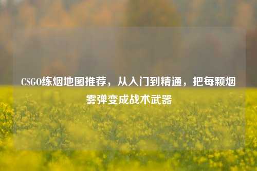 CSGO练烟地图推荐,从入门到精通,把每颗烟雾弹变成战术武器