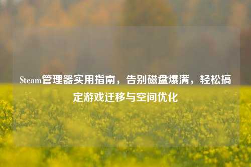 Steam管理器实用指南,告别磁盘爆满,轻松搞定游戏迁移与空间优化