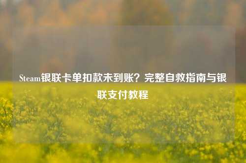 Steam银联卡单扣款未到账?完整自救指南与银联支付教程