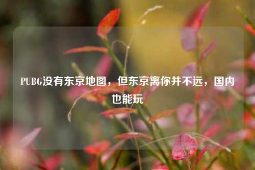 PUBG没有东京地图,但东京离你并不远,国内也能玩