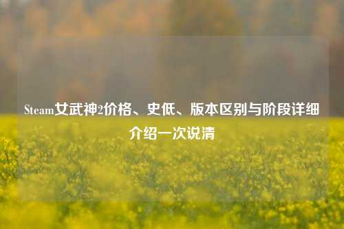 Steam女武神2价格、史低、版本区别与阶段详细介绍一次说清