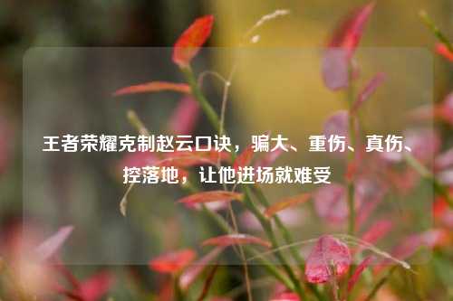 王者荣耀克制赵云口诀,骗大、重伤、真伤、控落地,让他进场就难受