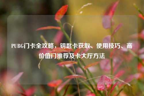 PUBG门卡全攻略,钥匙卡获取、使用技巧、高价值门推荐及卡大厅方法