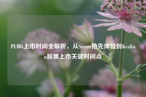 PUBG上市时间全解析,从Steam抢先体验到Krafton股票上市关键时间点