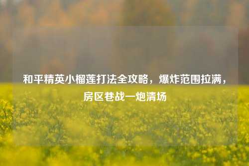 和平精英小榴莲打法全攻略,爆炸范围拉满,房区巷战一炮清场