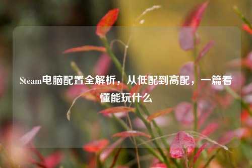 Steam电脑配置全解析,从低配到高配,一篇看懂能玩什么