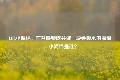 LOL小海绵,在召唤师峡谷做一块会吸水的海绵,小海绵是谁?