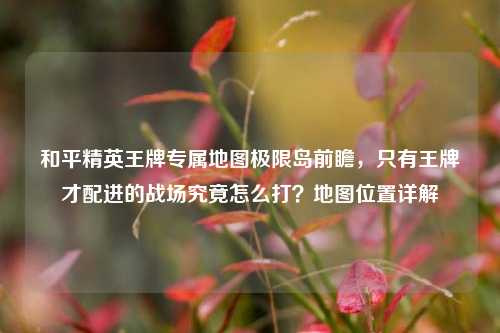 和平精英王牌专属地图极限岛前瞻,只有王牌才配进的战场究竟怎么打?地图位置详解