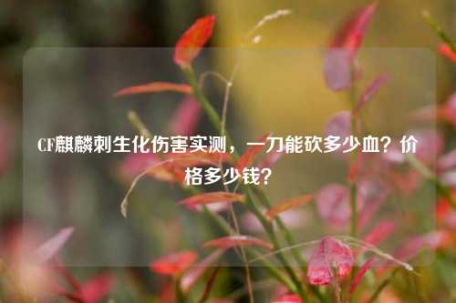 CF麒麟刺生化伤害实测,一刀能砍多少血?价格多少钱?