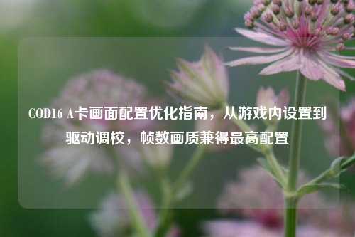 COD16 A卡画面配置优化指南,从游戏内设置到驱动调校,帧数画质兼得最高配置