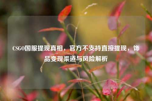 CSGO国服提现真相,官方不支持直接提现,饰品变现渠道与风险解析