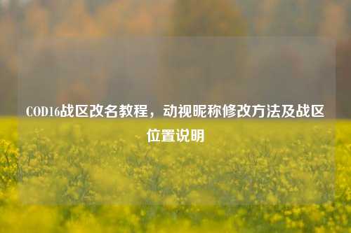 COD16战区改名教程,动视昵称修改方法及战区位置说明