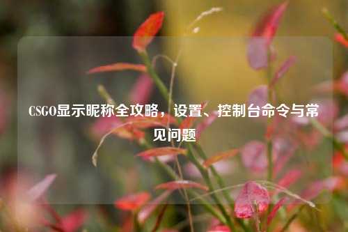 CSGO显示昵称全攻略,设置、控制台命令与常见问题