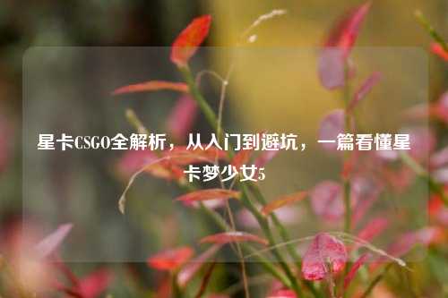 星卡CSGO全解析,从入门到避坑,一篇看懂星卡梦少女5