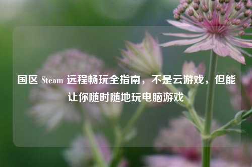 国区 Steam 远程畅玩全指南,不是云游戏,但能让你随时随地玩电脑游戏