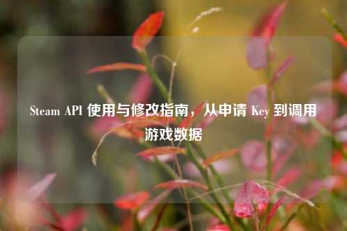 Steam API 使用与修改指南,从申请 Key 到调用游戏数据