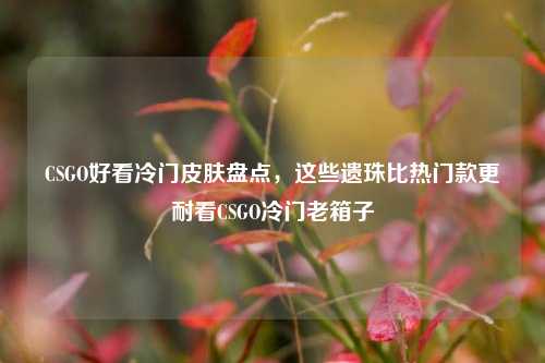 CSGO好看冷门皮肤盘点,这些遗珠比热门款更耐看CSGO冷门老箱子