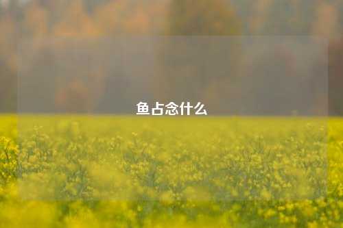 鱼占念什么