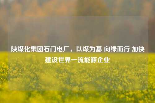 陕煤化集团石门电厂,以煤为基 向绿而行 加快建设世界一流能源企业