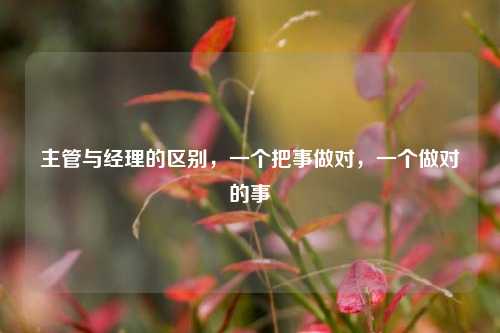 主管与经理的区别，一个把事做对，一个做对的事