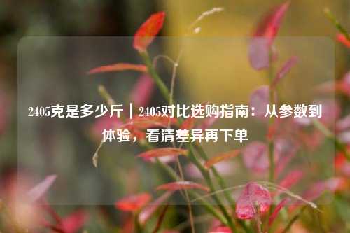 2405克是多少斤｜2405对比选购指南：从参数到体验，看清差异再下单