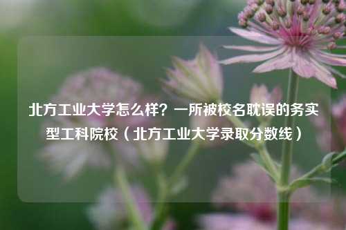 北方工业大学怎么样?一所被校名耽误的务实型工科院校(北方工业大学录取分数线)