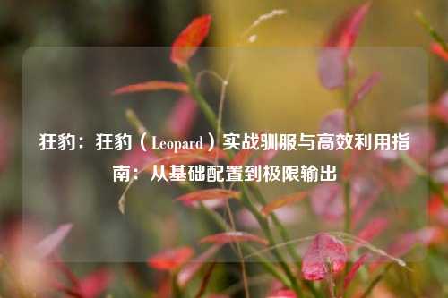 狂豹:狂豹(Leopard)实战驯服与高效利用指南:从基础配置到极限输出