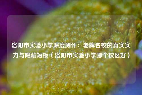 洛阳市实验小学深度测评:老牌名校的真实实力与隐藏短板(洛阳市实验小学哪个校区好)