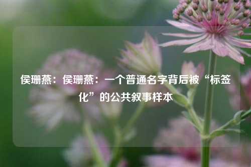 侯珊燕:侯珊燕:一个普通名字背后被“标签化”的公共叙事样本