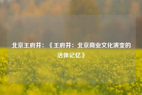 北京王府井:《王府井:北京商业文化演变的活体记忆》