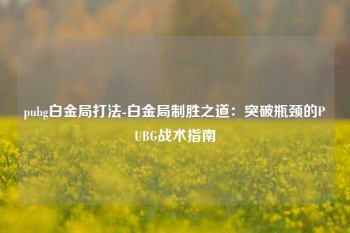 pubg白金局打法-白金局制胜之道:突破瓶颈的PUBG战术指南