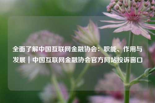 全面了解中国互联网金融协会:职能、作用与发展|中国互联网金融协会官方网站投诉窗口