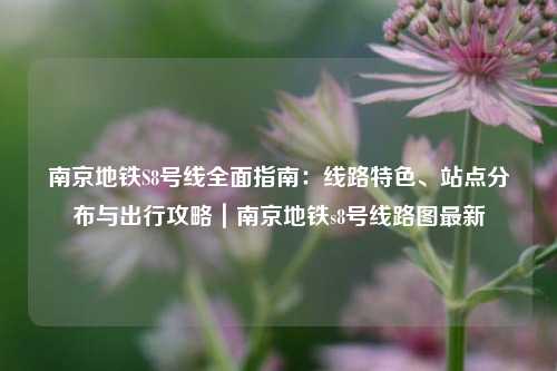 南京地铁S8号线全面指南：线路特色、站点分布与出行攻略｜南京地铁s8号线路图最新