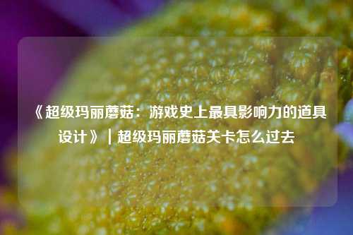 《超级玛丽蘑菇:游戏史上最具影响力的道具设计》|超级玛丽蘑菇关卡怎么过去