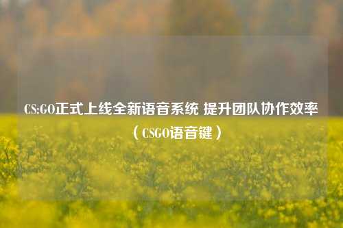 CS:GO正式上线全新语音系统 提升团队协作效率(CSGO语音键)