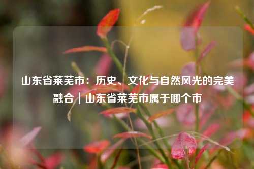 山东省莱芜市:历史、文化与自然风光的完美融合|山东省莱芜市属于哪个市