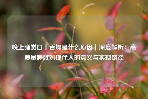 晚上睡觉口干舌燥是什么原因|深度解析:高质量睡眠对现代人的意义与实现路径