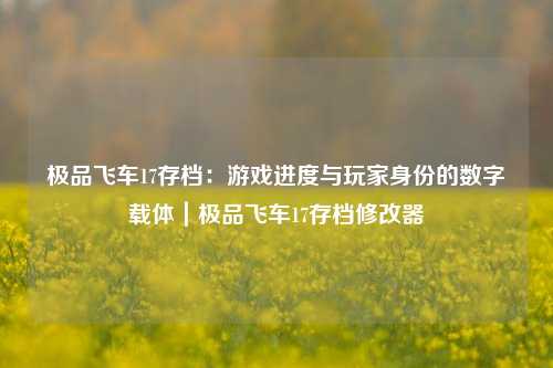 极品飞车17存档:游戏进度与玩家身份的数字载体|极品飞车17存档修改器