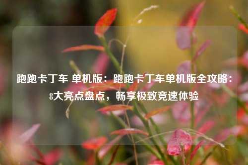 跑跑卡丁车 单机版：跑跑卡丁车单机版全攻略：8大亮点盘点，畅享极致竞速体验